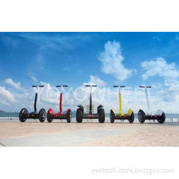 Gyroscopic Electric Chariot Scooter , CE approved 1000W  Se